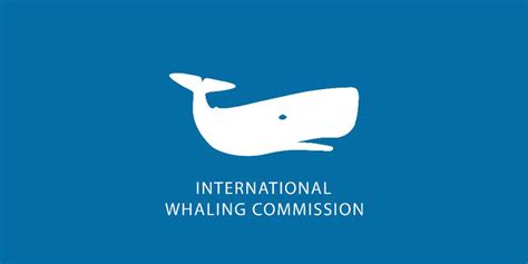 iwc whaling nations|countries where whaling is legal.